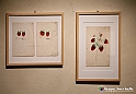 VBS_1392 - Castello di Miradolo - Mostra Oltre il giardino l'Abbecedario di paolo Pejrone